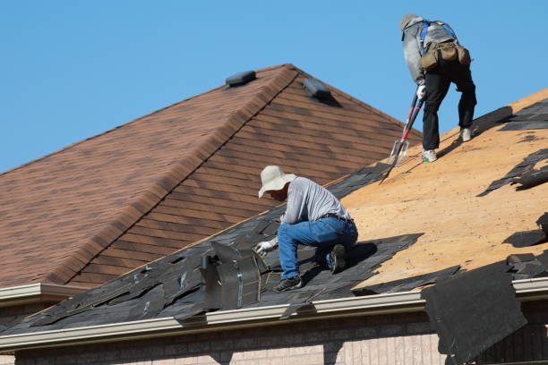Best Roof Installation  in Blandon, PA